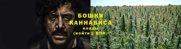 сатива Абаза