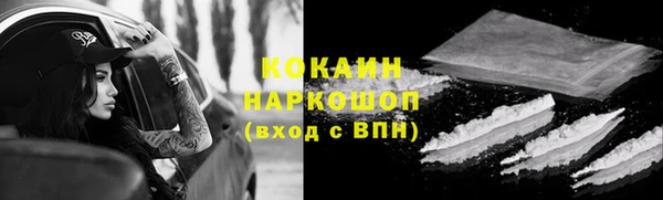 сатива Абаза