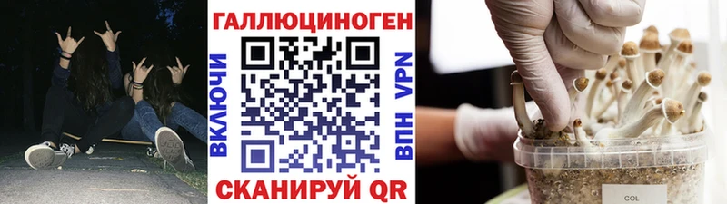 Псилоцибиновые грибы Cubensis  МЕГА ССЫЛКА  Искитим 