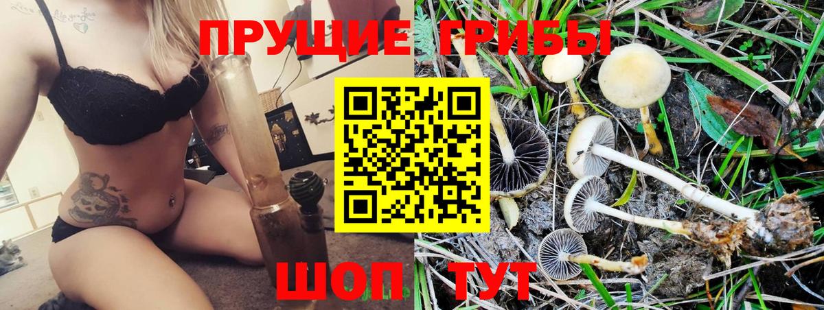 Искитим  Галлюциногенные грибы ЛСД  Вход с VPN 